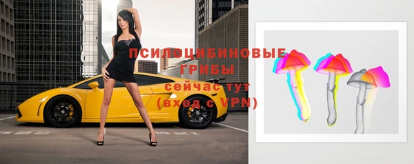 индика Майский