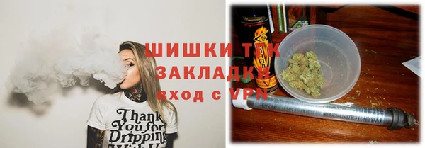индика Майский