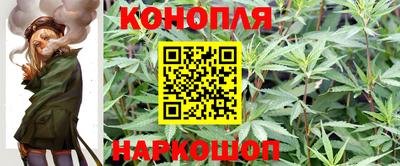 сатива Балахна