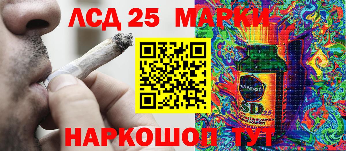 Галлюциногенные грибы Каменка