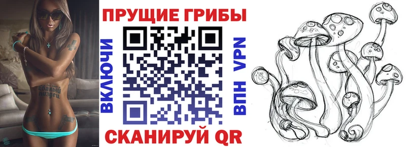 Псилоцибиновые грибы Magic Shrooms KRAKEN онион Каменка