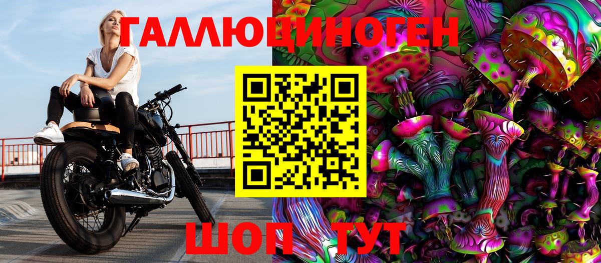 Псилоцибиновые грибы мицелий Каменка