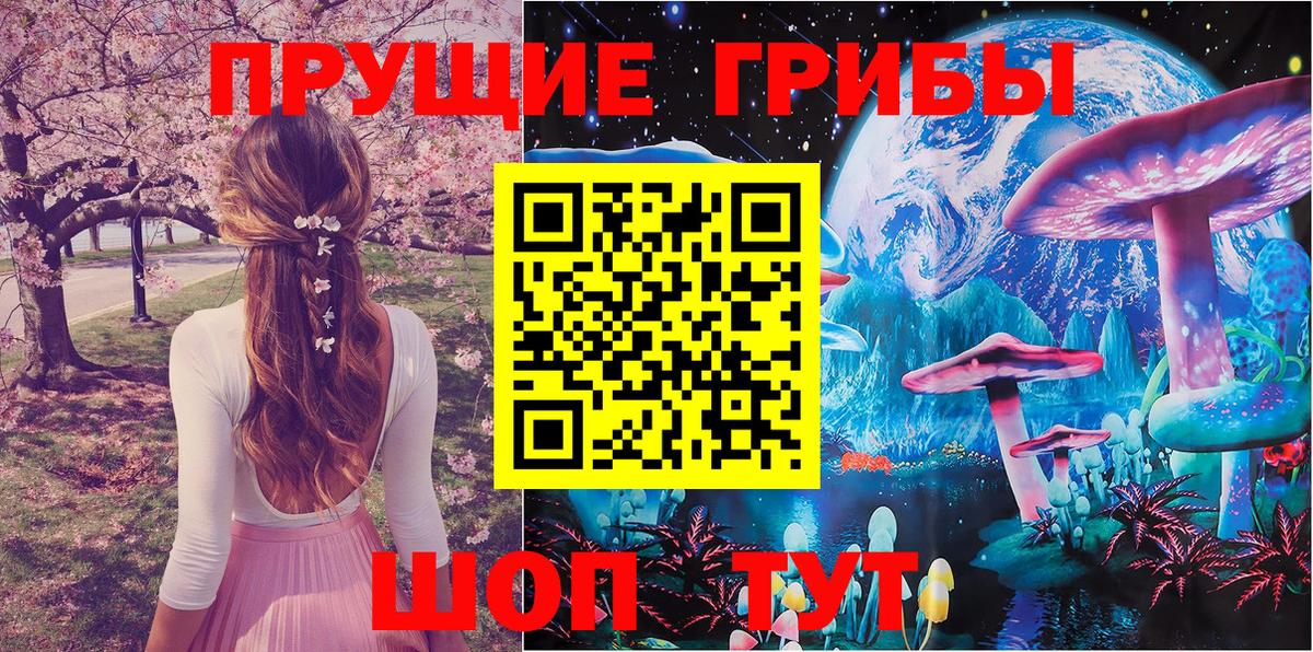 Галлюциногенные грибы мухоморы Каменка